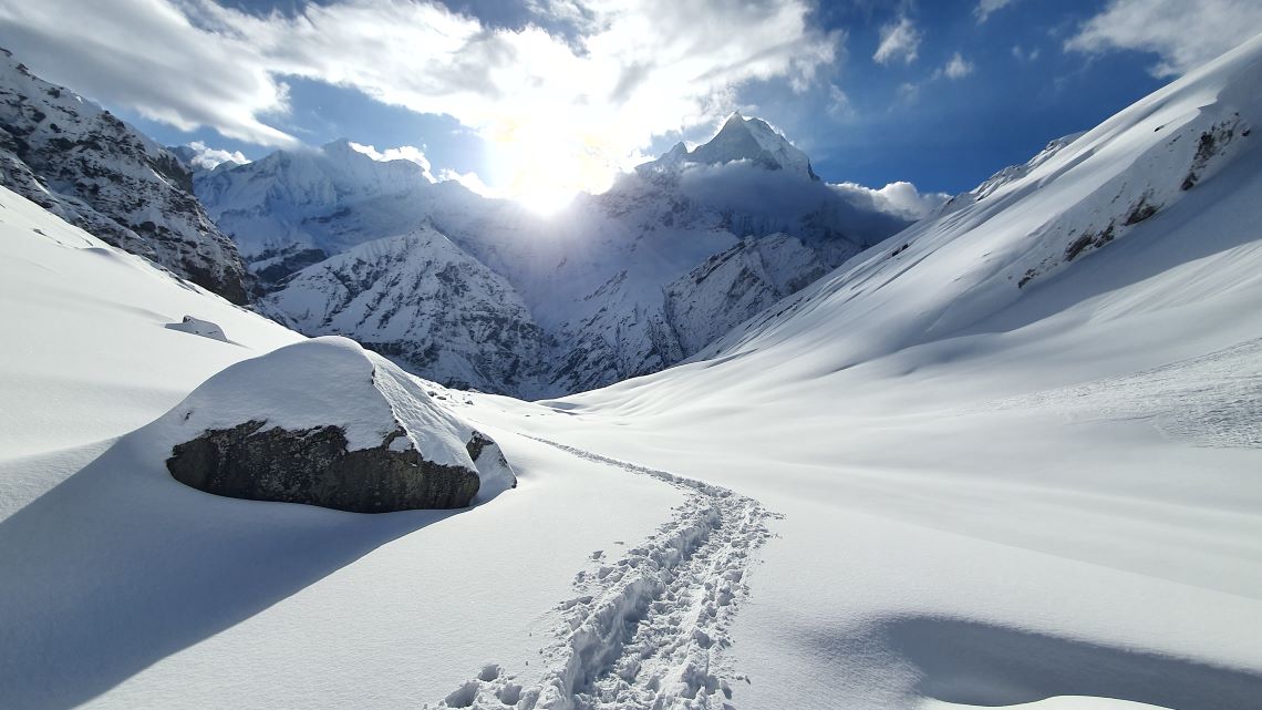 Entdecke deinen eigenen Weg – Coaching mit Erfolg